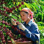 Chị Đào Xuân Thúy