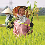 Chị Bùi Hồ Yến 