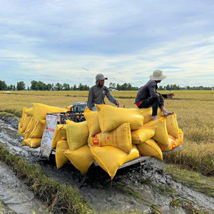 bac-lieu-van-con-nhieu-co-so-vi-pham-trong-kinh-doanh-vat-tu-nong-nghiep-thuy-san